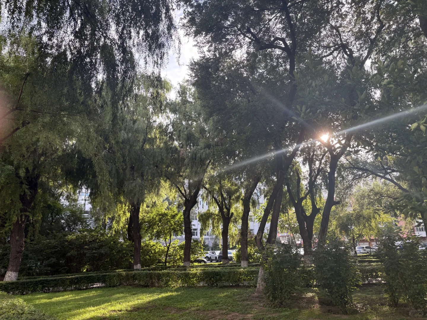 哈尔滨女研｜来之不易的时间和你