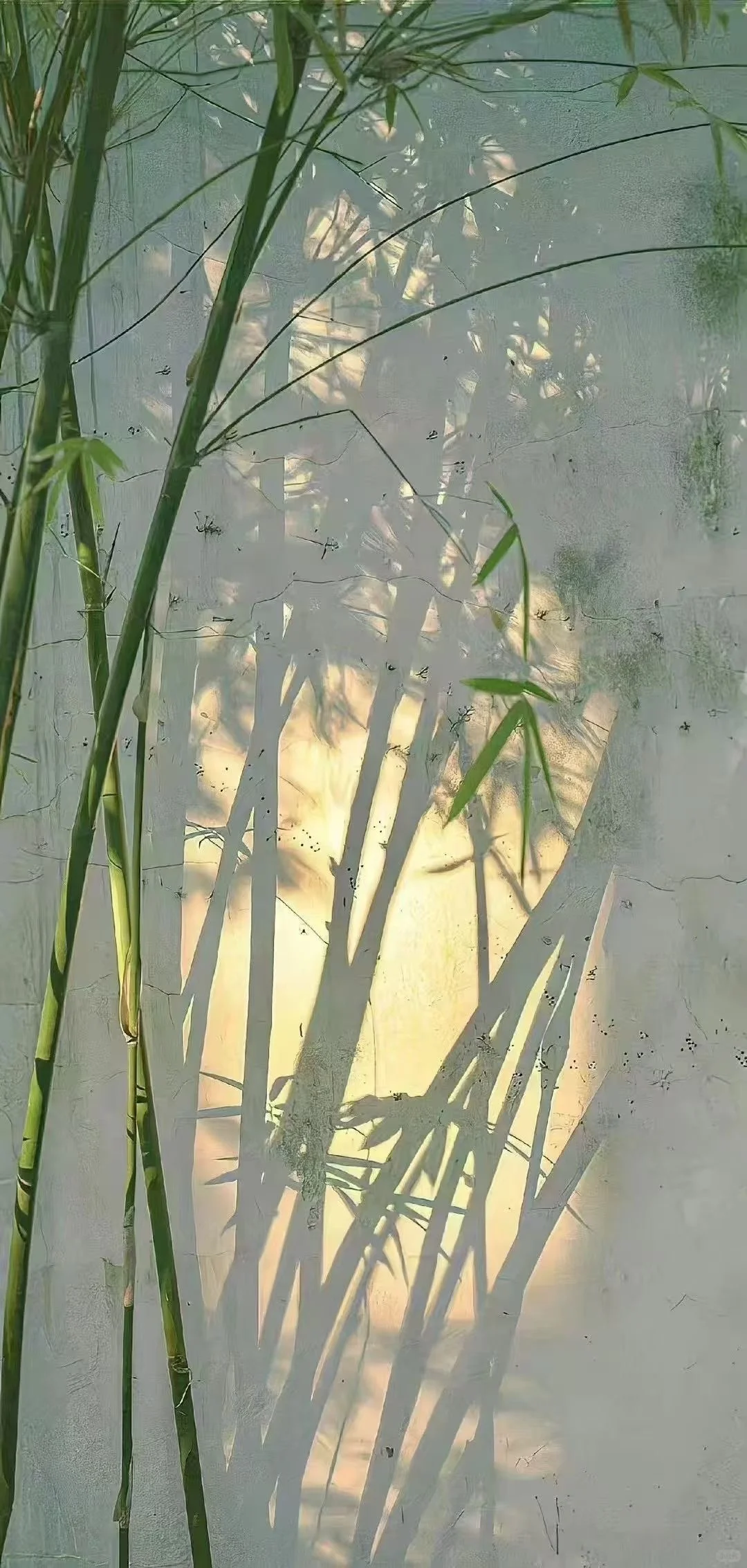 ☘️治愈系壁纸