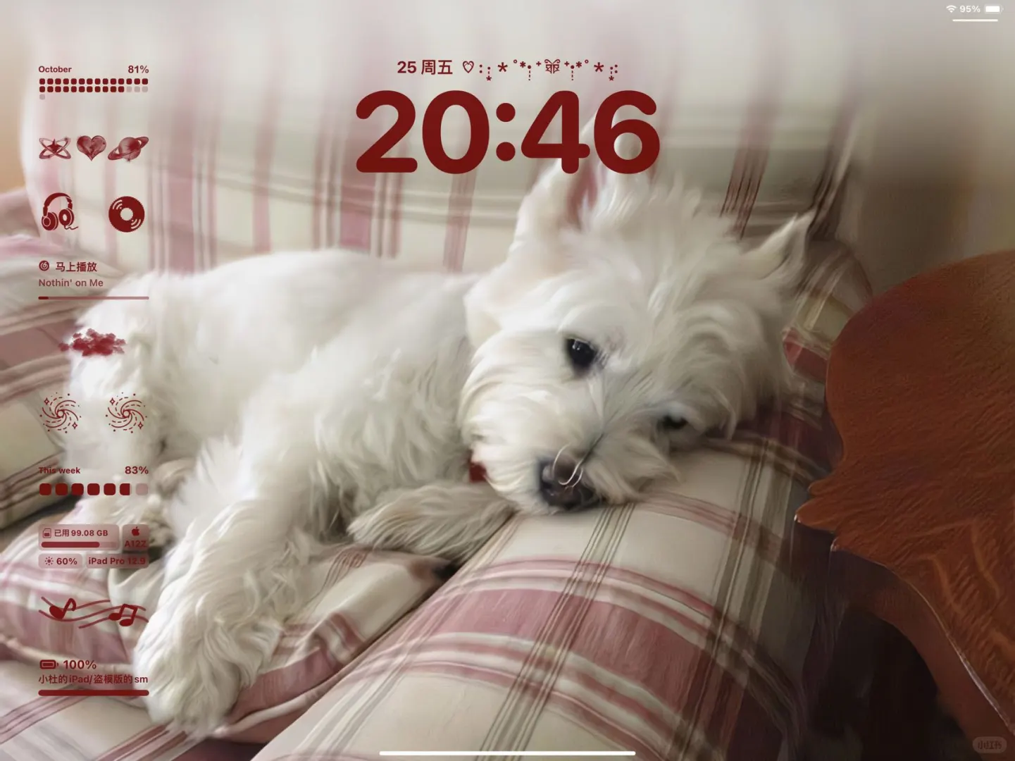 小狗iPad壁纸>ᴗoಣ10.27 #ipad平板壁纸 #