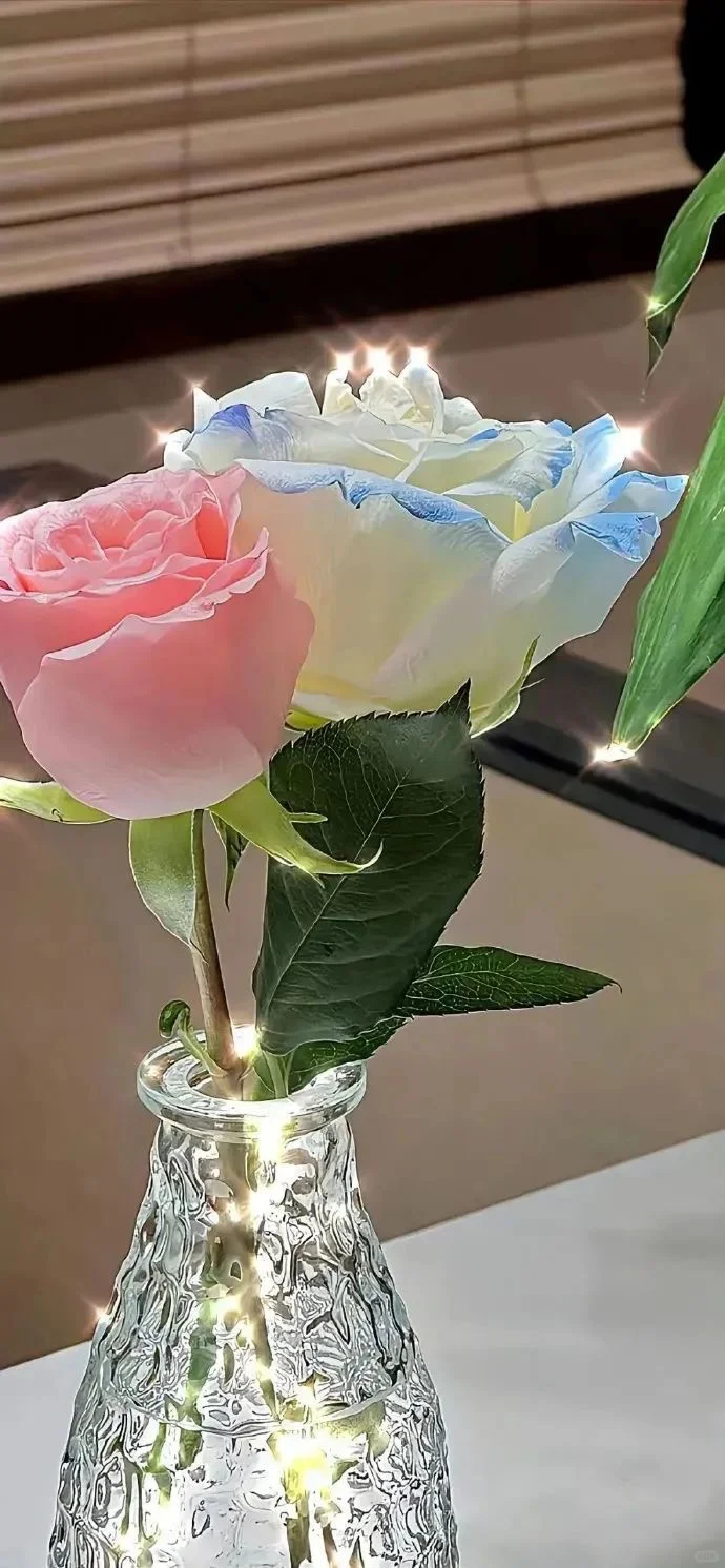 wallpaper | 全屏鲜花壁纸