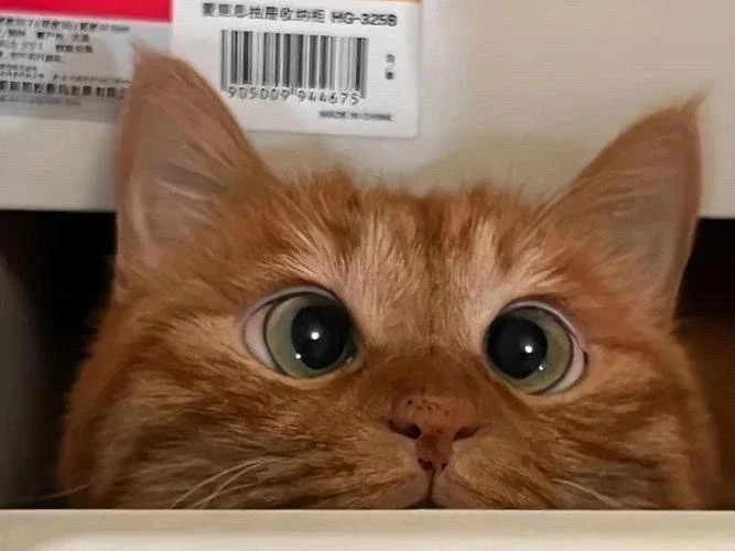 一键保存｜高清4k.满屏平板/电脑壁纸