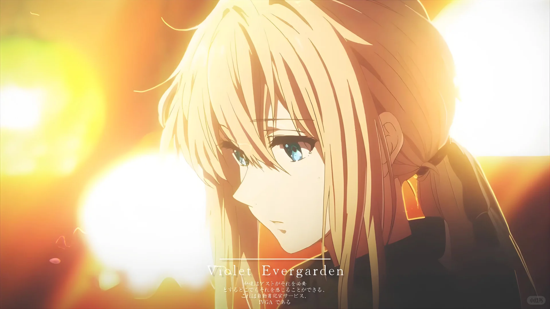 4k超清紫罗兰永恒花园壁纸