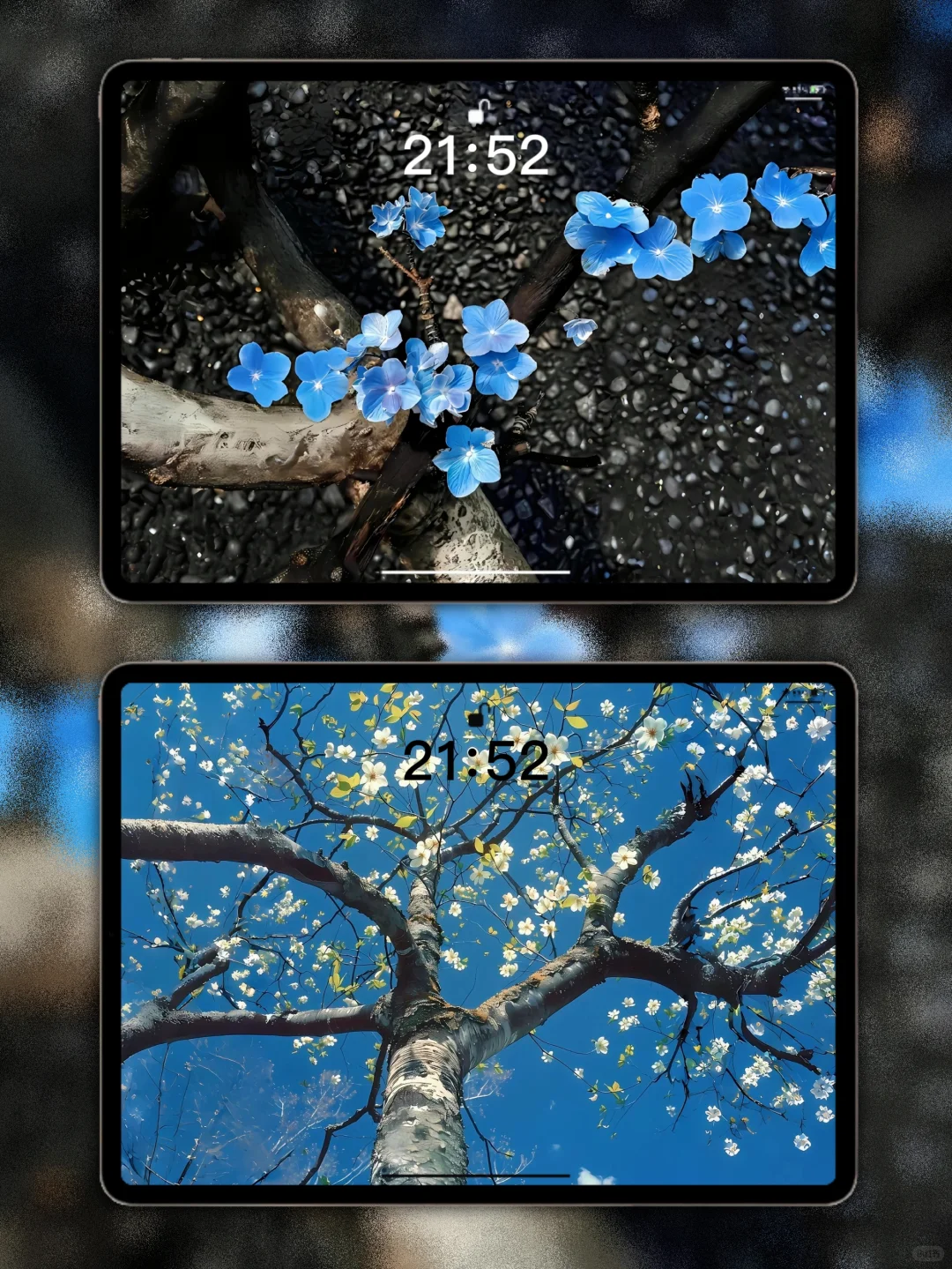 𝙎𝙝𝙖𝙧𝙚｜ios26景深iPad壁纸