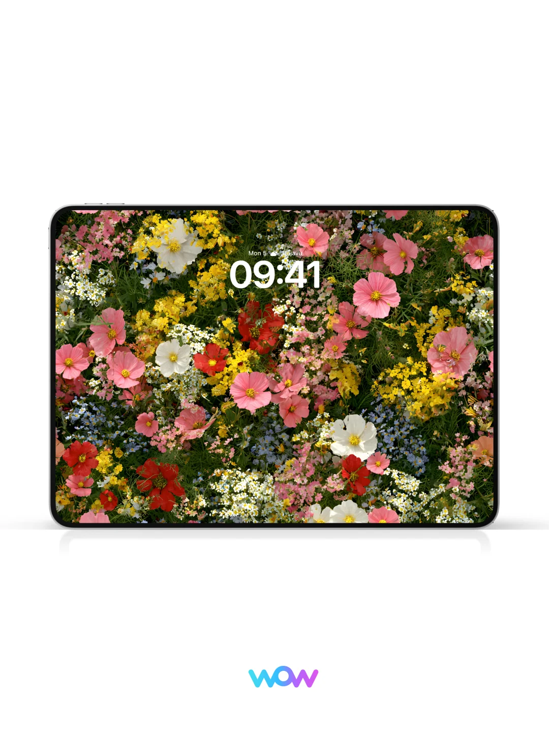 春日繁花，层层绽放｜高清壁纸｜377