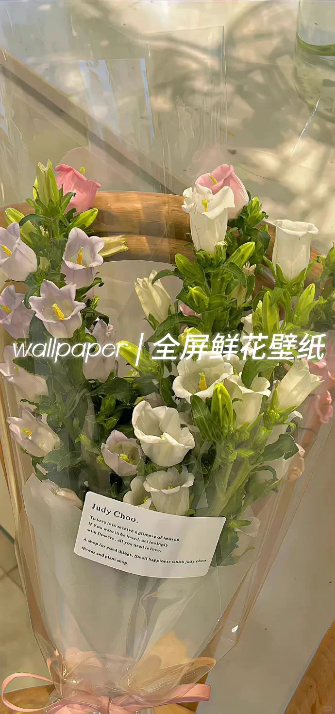 wallpaper | 全屏鲜花壁纸