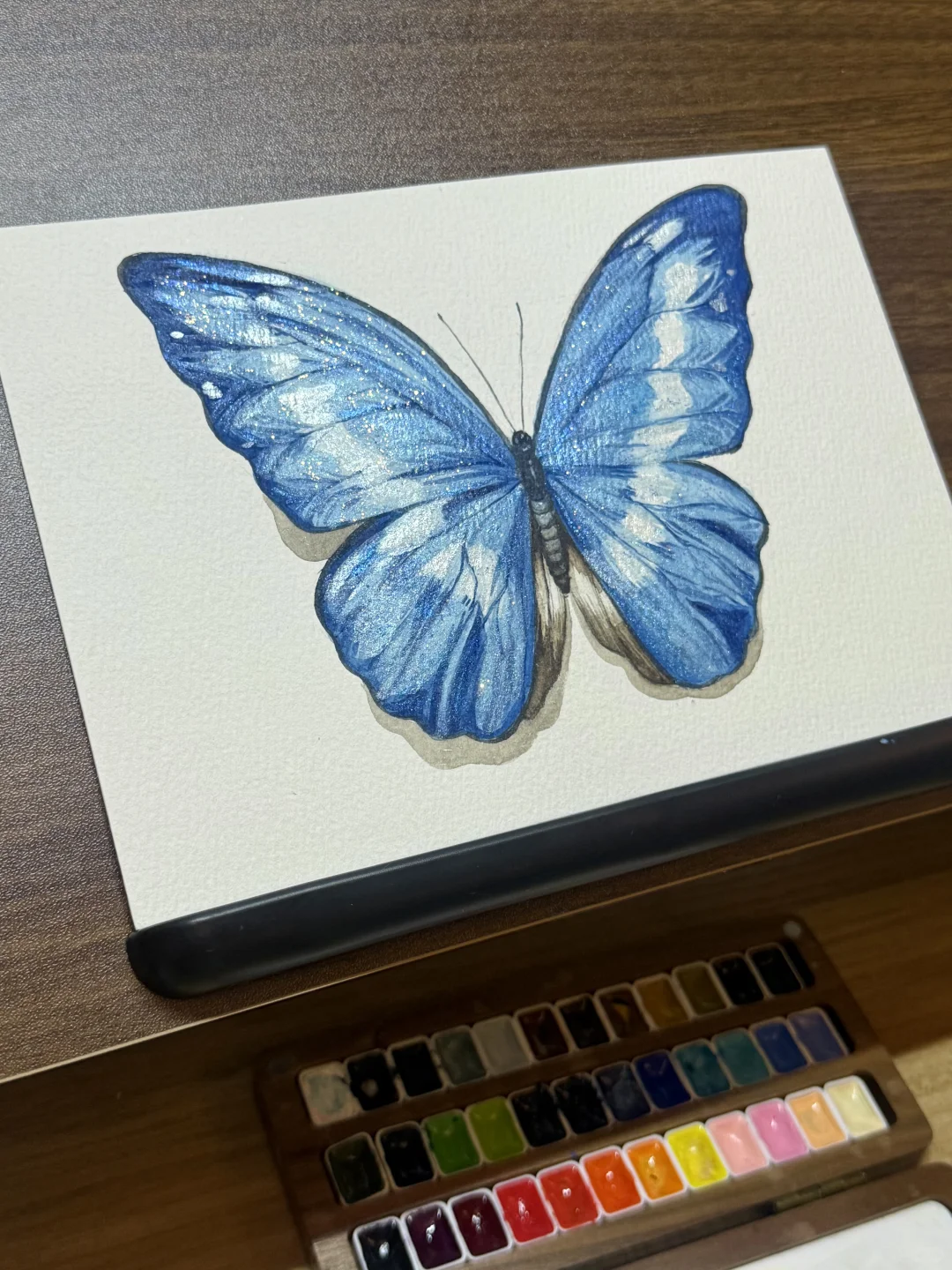 水彩｜光明女神蝶🦋