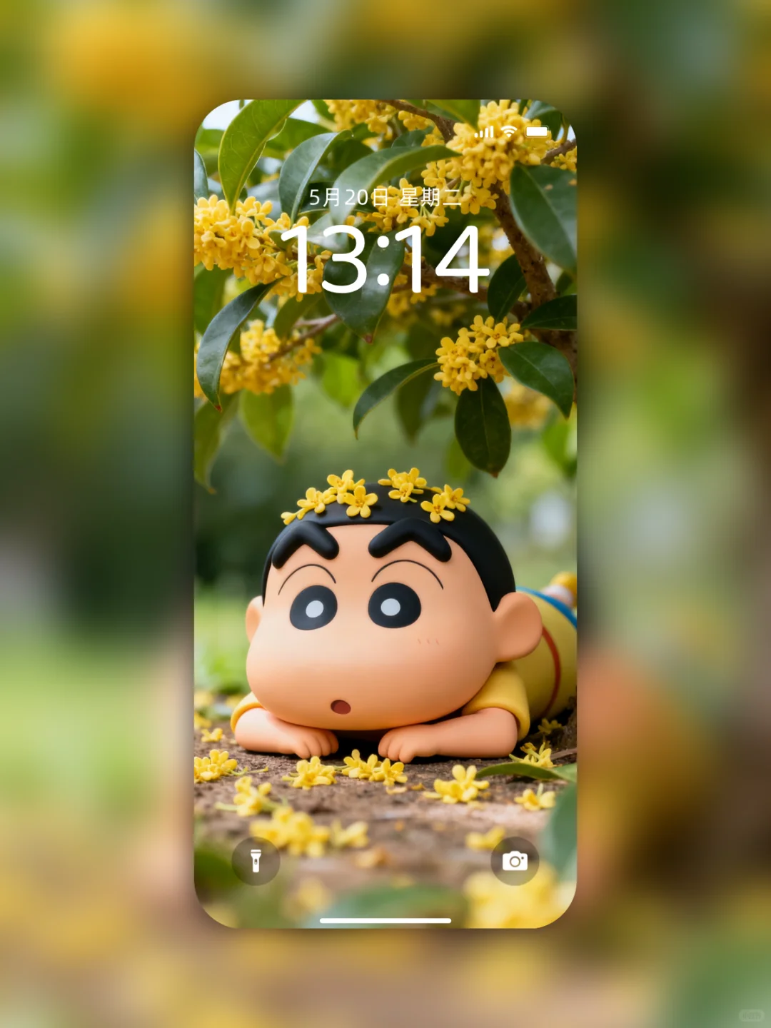 小新壁纸｜桂花樹下