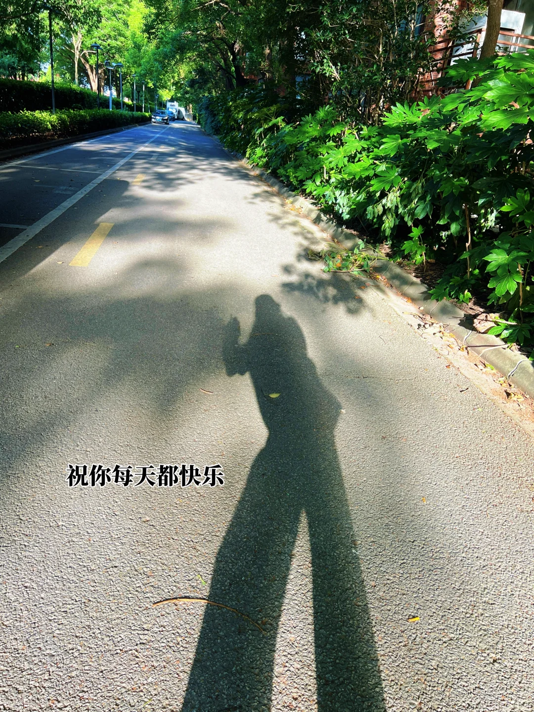 42岁，过的好的原因：独居、不恋爱、阅读，打扮