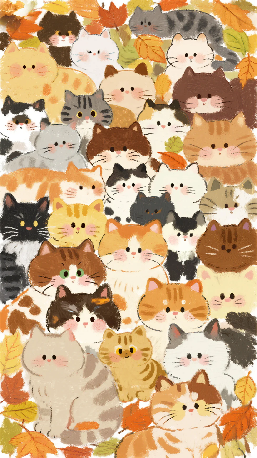 ✨壁纸|秋天🍂 猫猫全屏墙纸！喵喵~🐱
