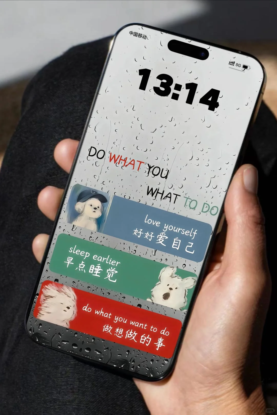 来了来了来了、精选壁纸、更新了