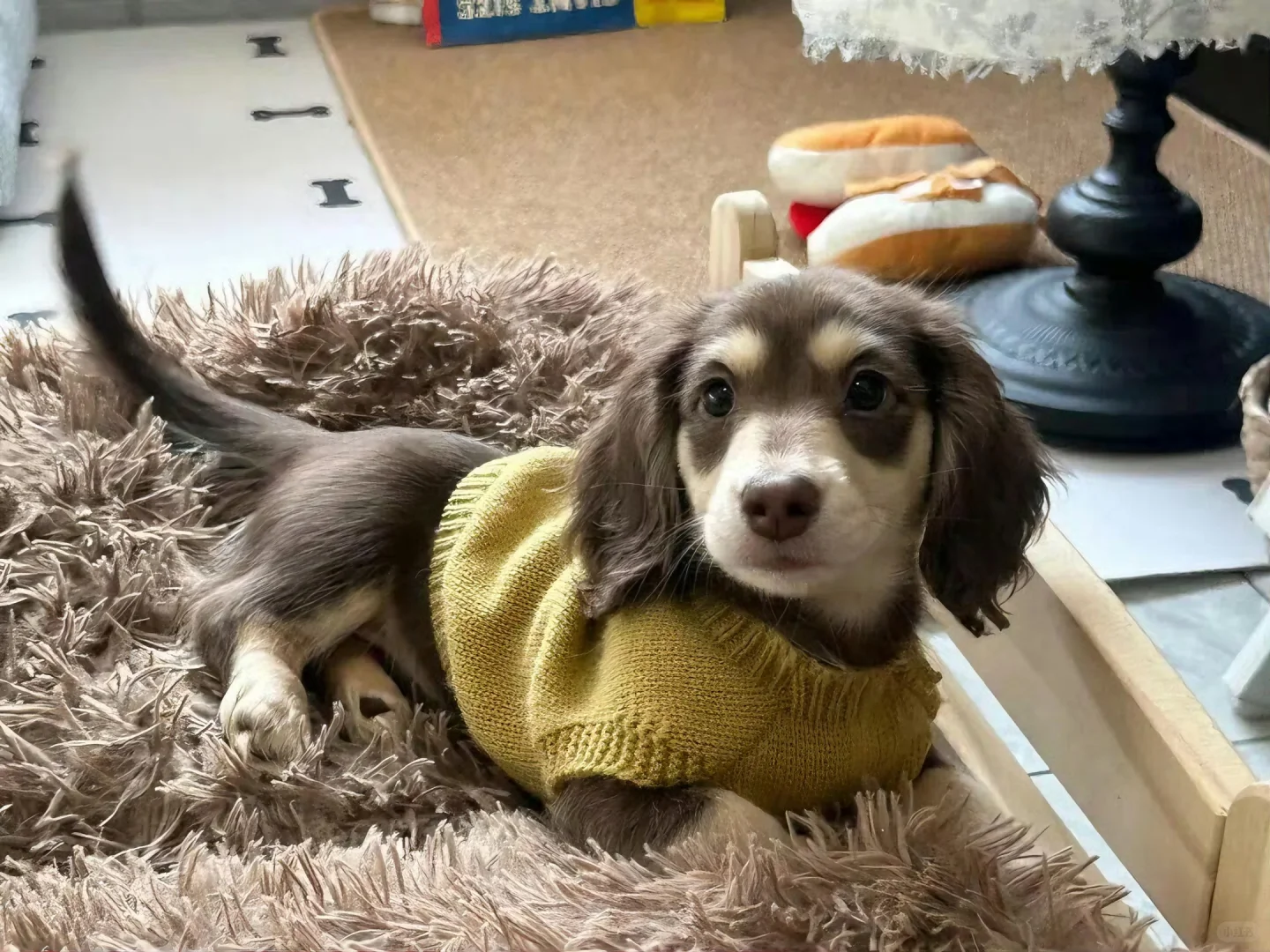 iPad·电脑壁纸｜🫧可爱猫咪缝缝补补