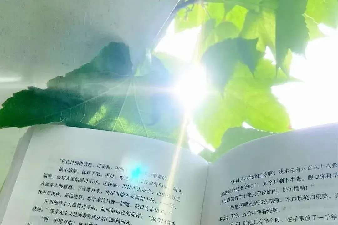 「小众の壁纸」系列1