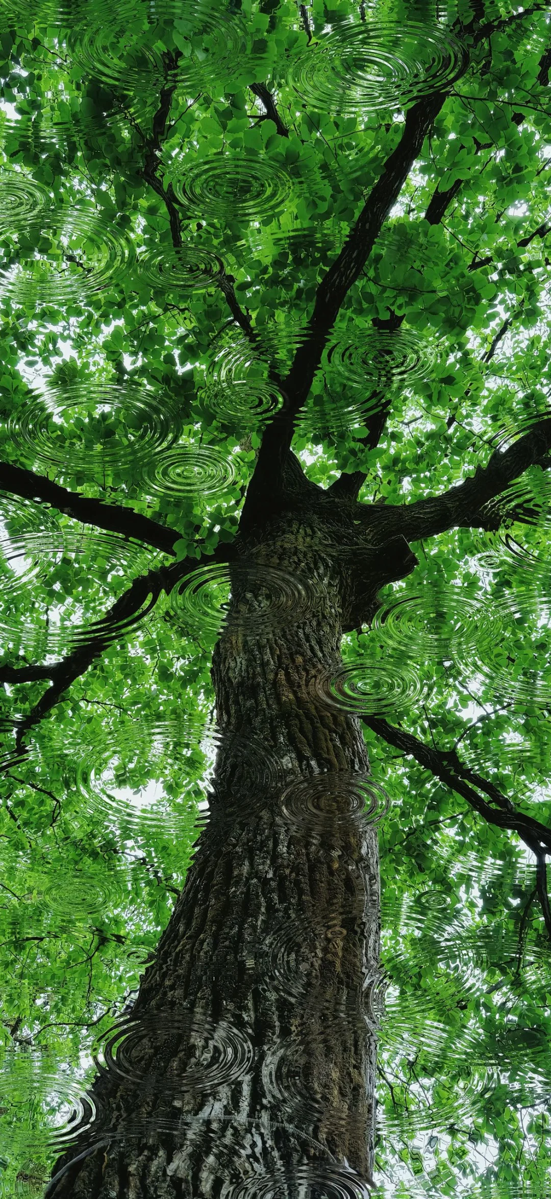 ins小众手机壁纸