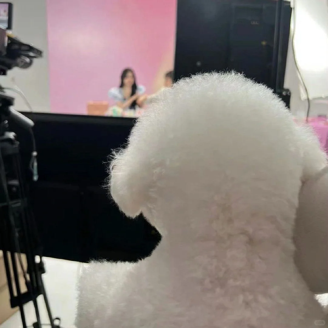 欣欣子隐藏属性背景图☆*:o(≧▽≦)o:*