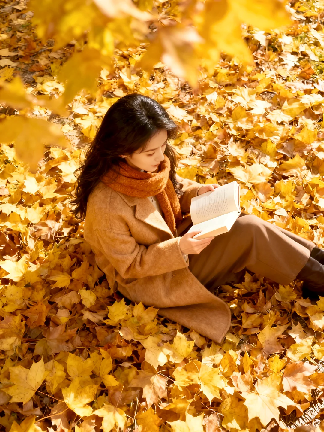 🍂 秋日私语，落叶与光影的浪漫 🌸