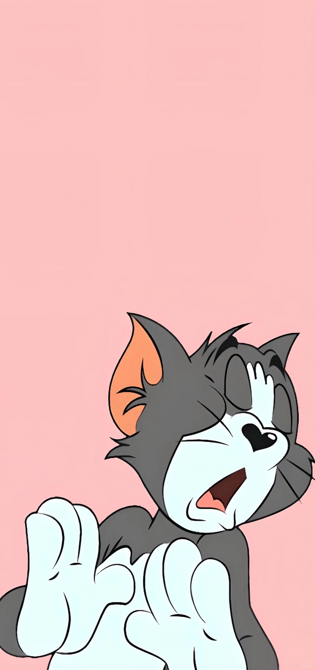 手机壁纸 | 高清壁纸🍿