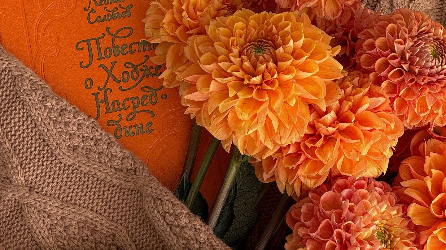 横屏壁纸 🌸🌊🍃