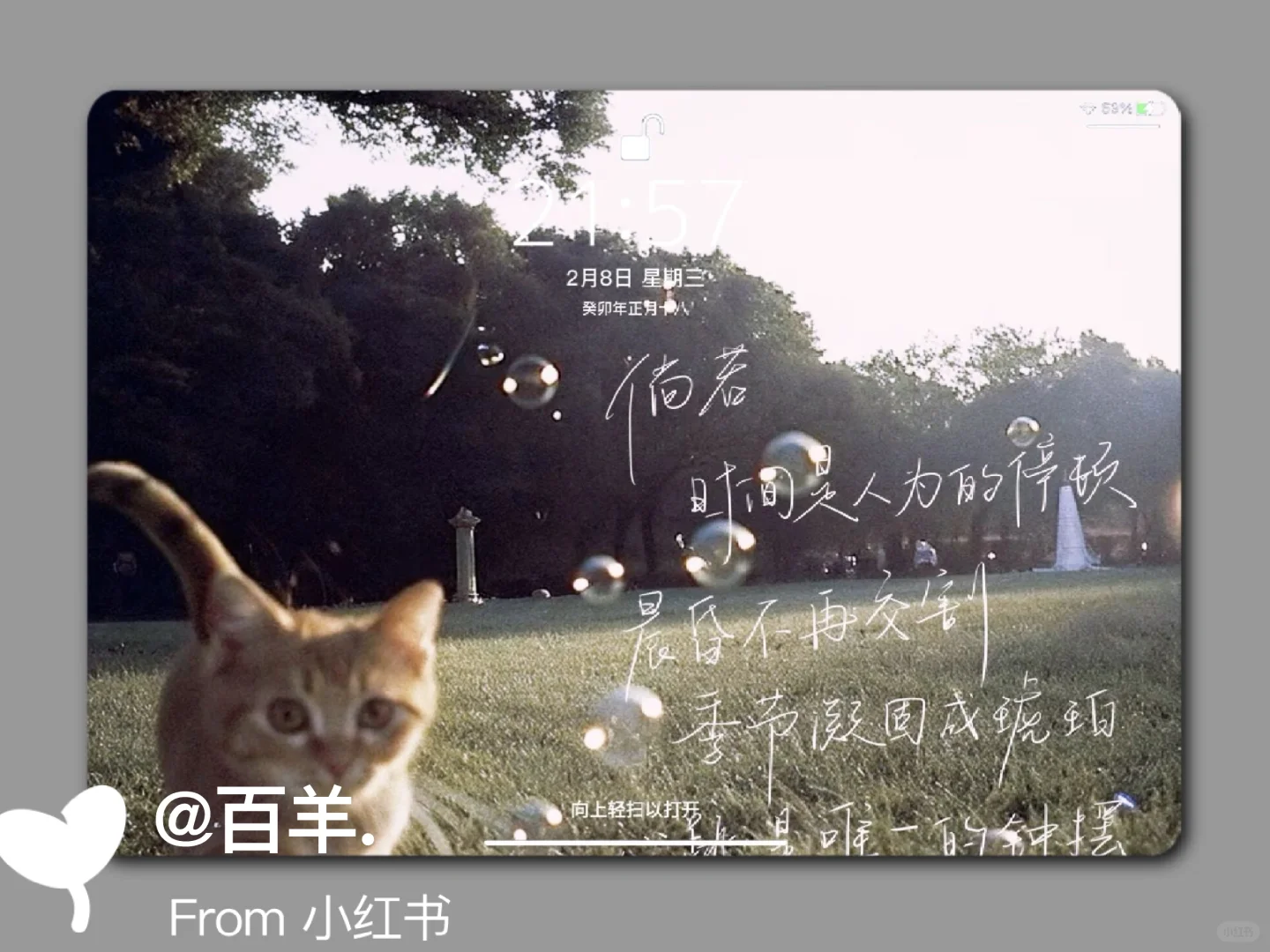 ipad壁纸｜找不到答案的时候就找自己。