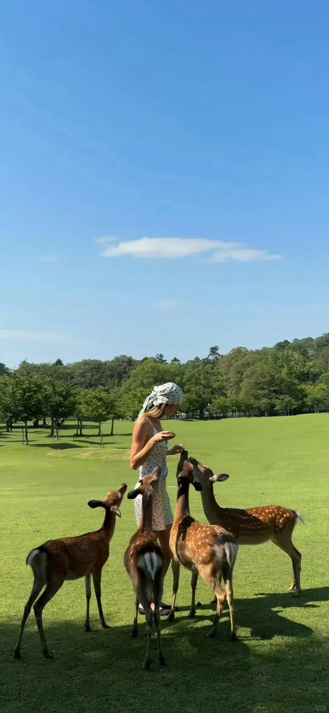 苹果ios26景深壁纸