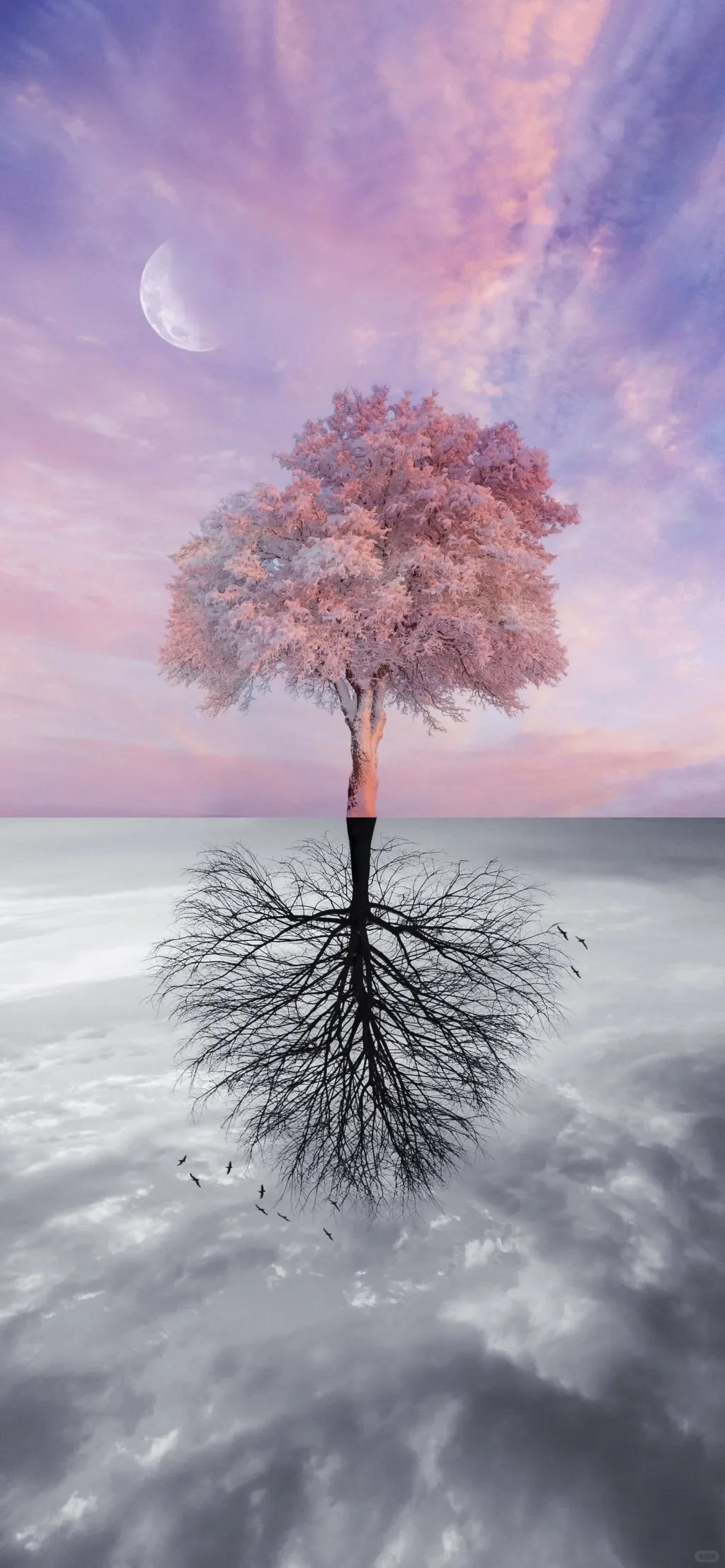 那些适合长期不换的壁纸🌌