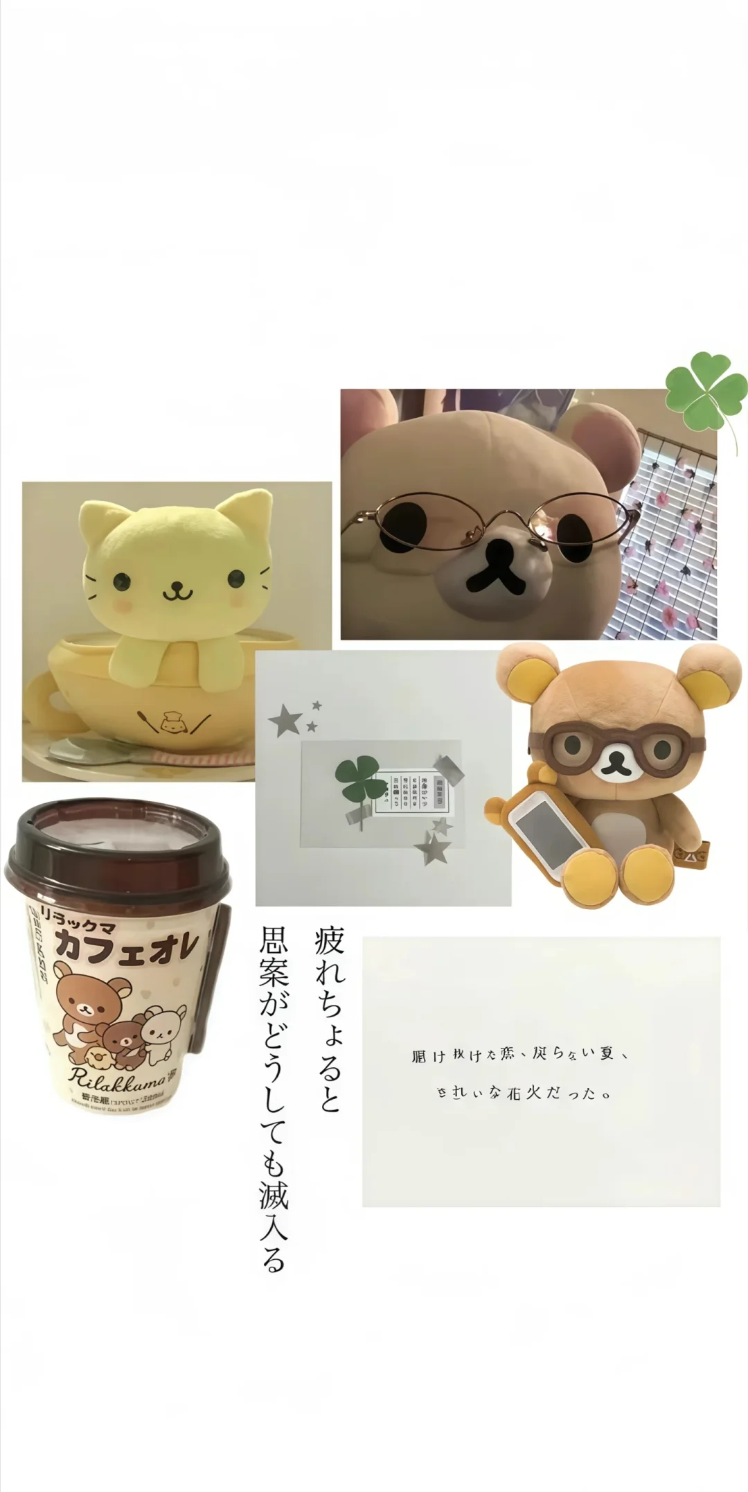 𝐒𝐡𝐚𝐫𝐞｜轻松熊壁纸