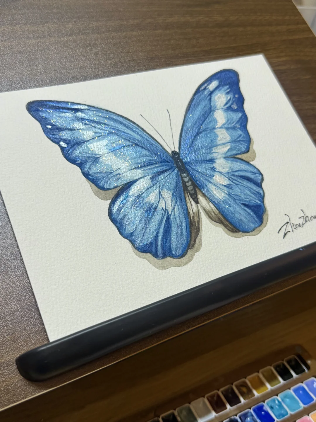 水彩｜光明女神蝶🦋