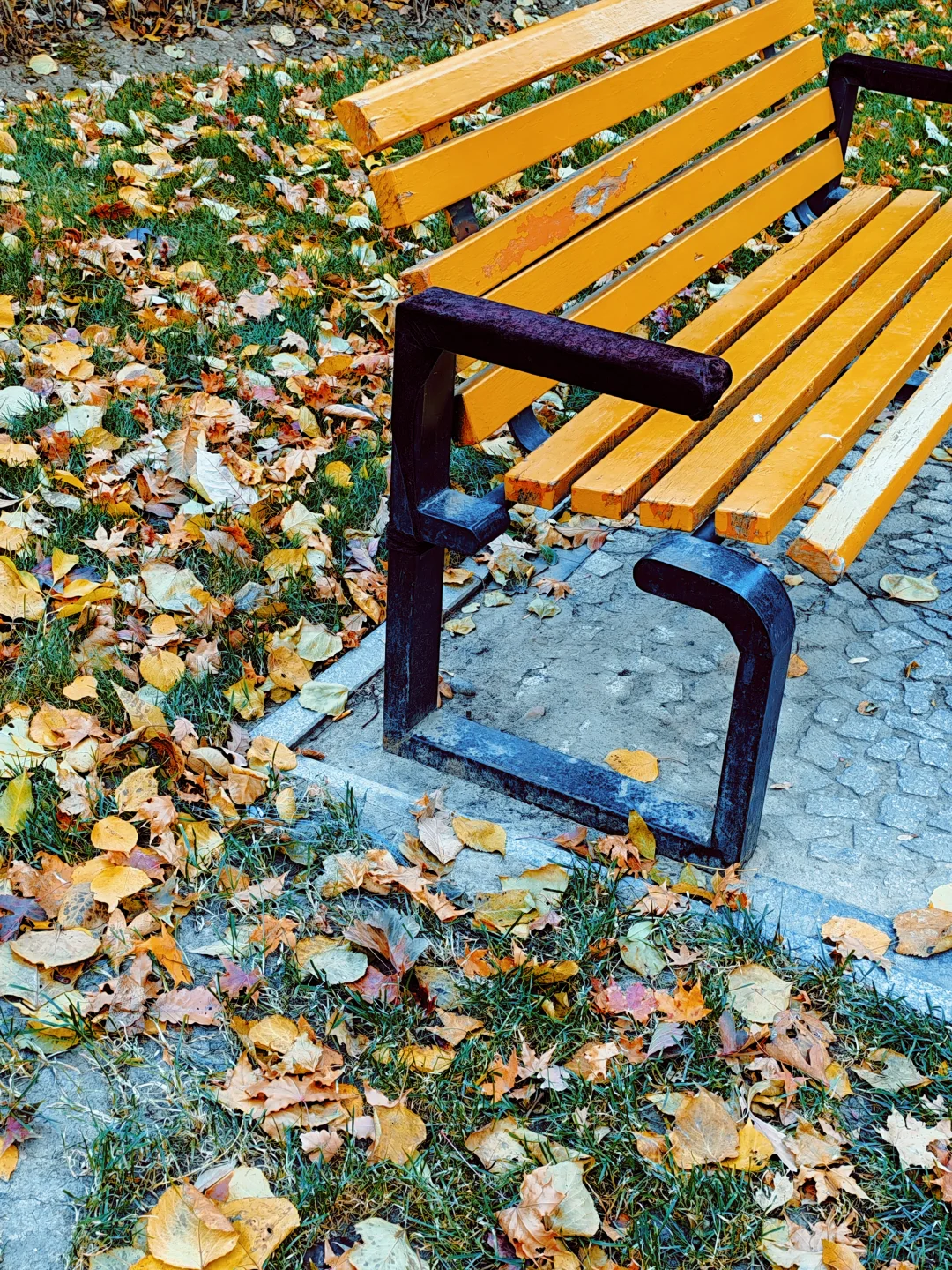 女律师的周日休闲时光