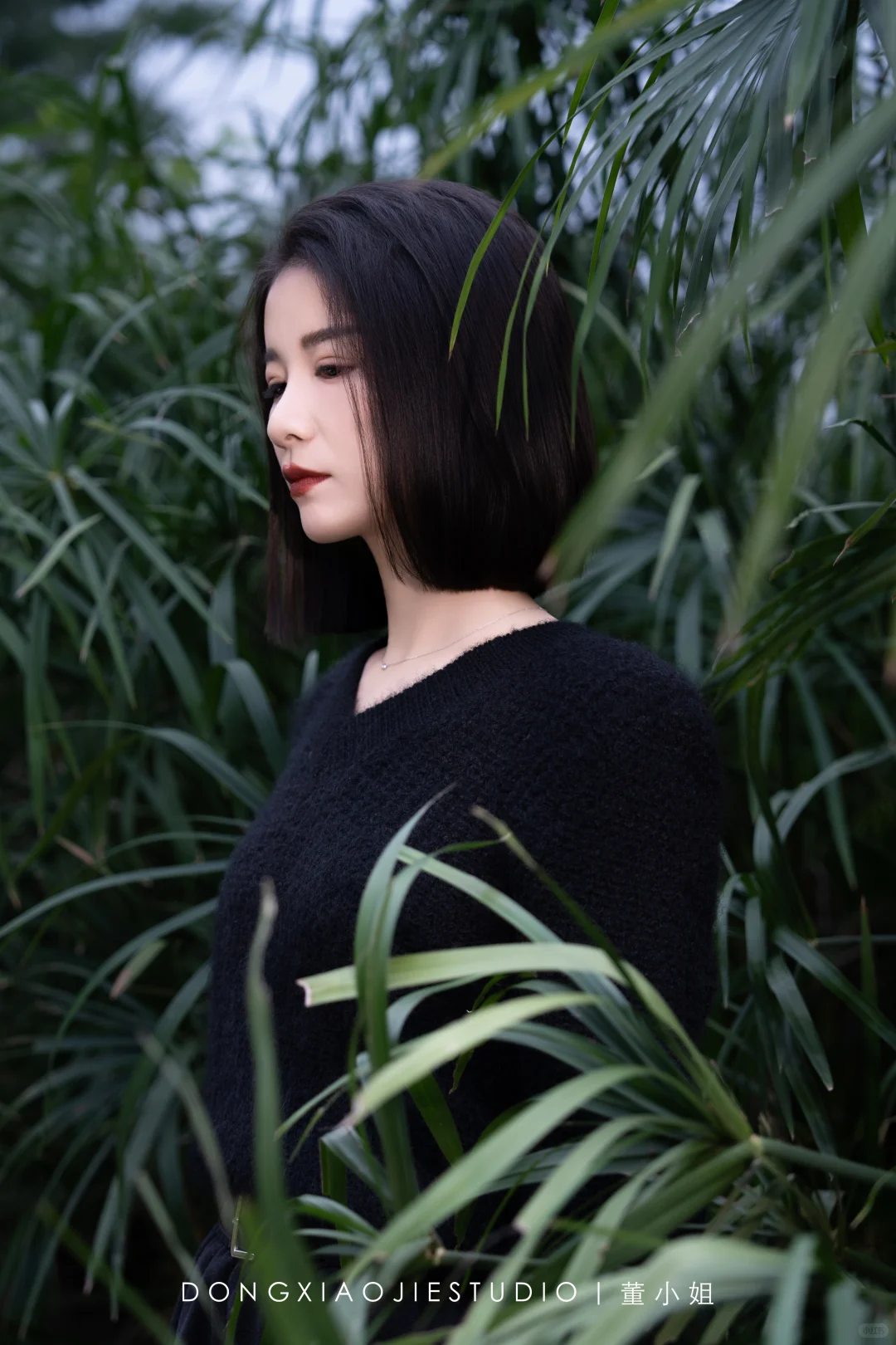 秋天的氛围感写真