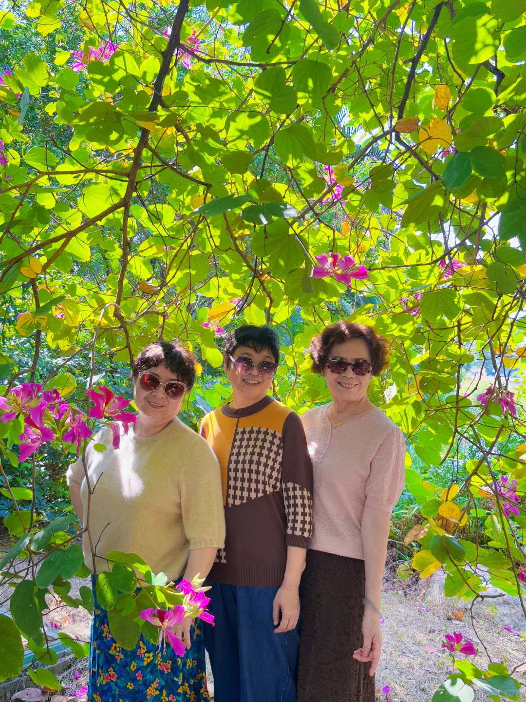 随手拍｜岁月从不败美人📷