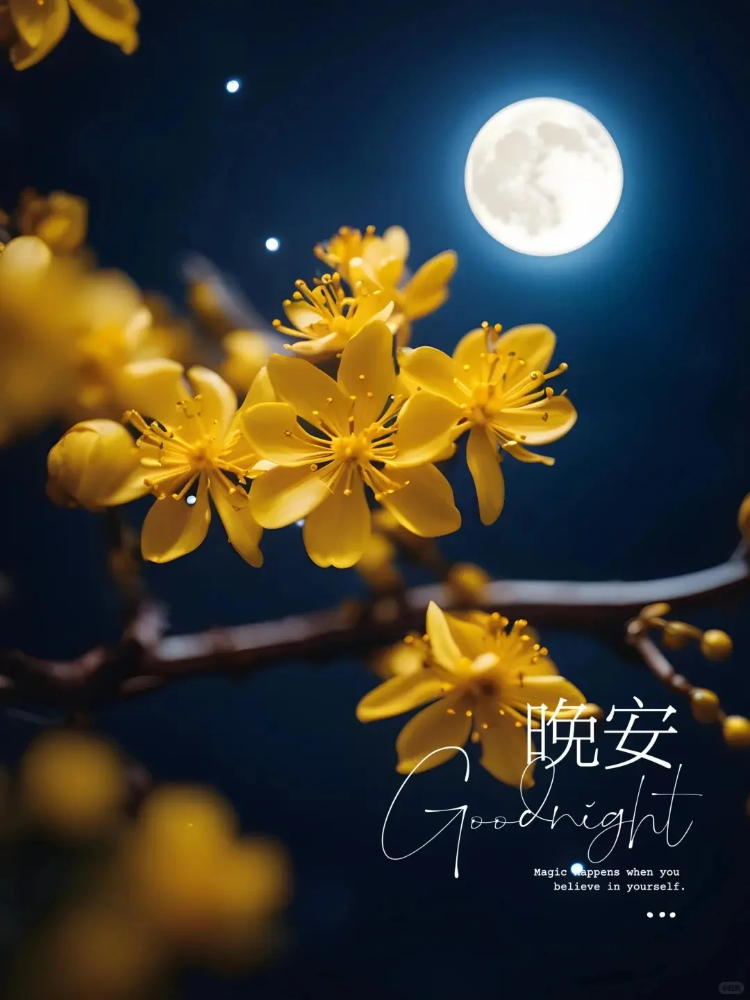 速看！全新晚安图片来袭
