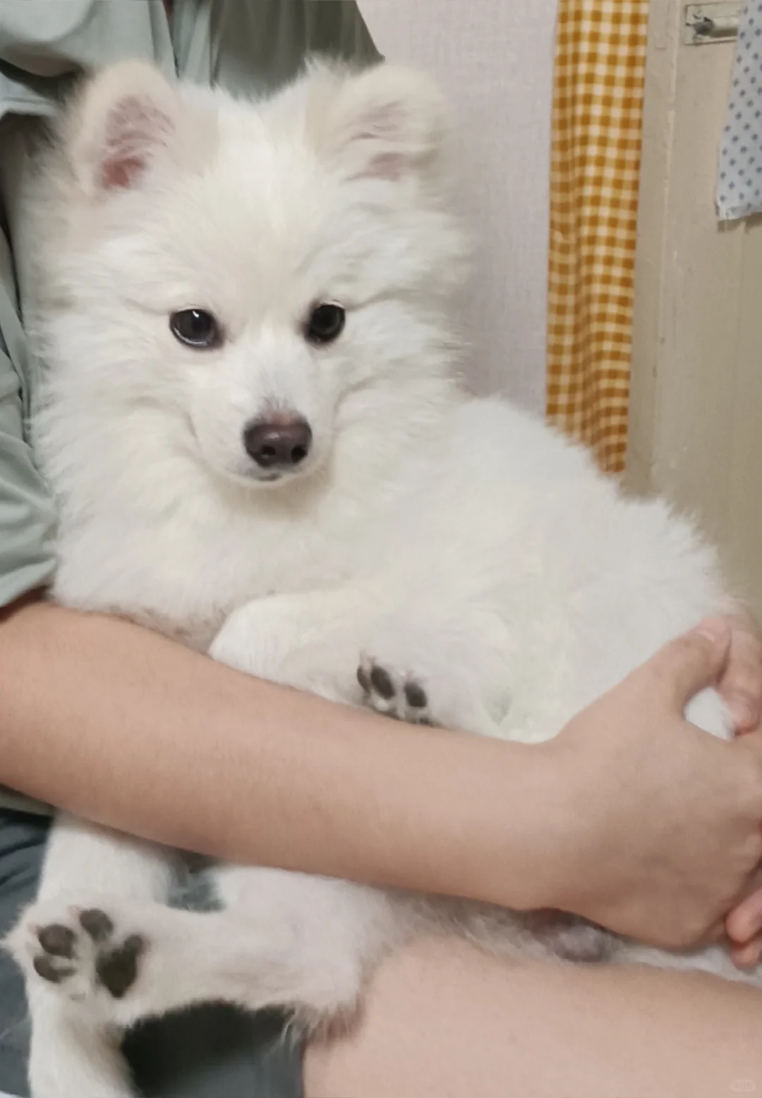 别人都说我知性美🐶