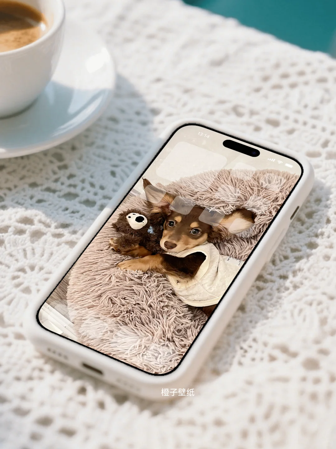 手机壁纸 | 我超喜欢我的手机壁纸