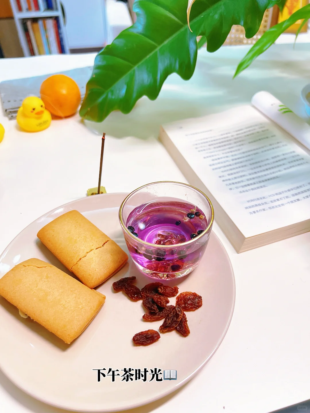 42岁，过的好的原因：独居、不恋爱、阅读，打扮