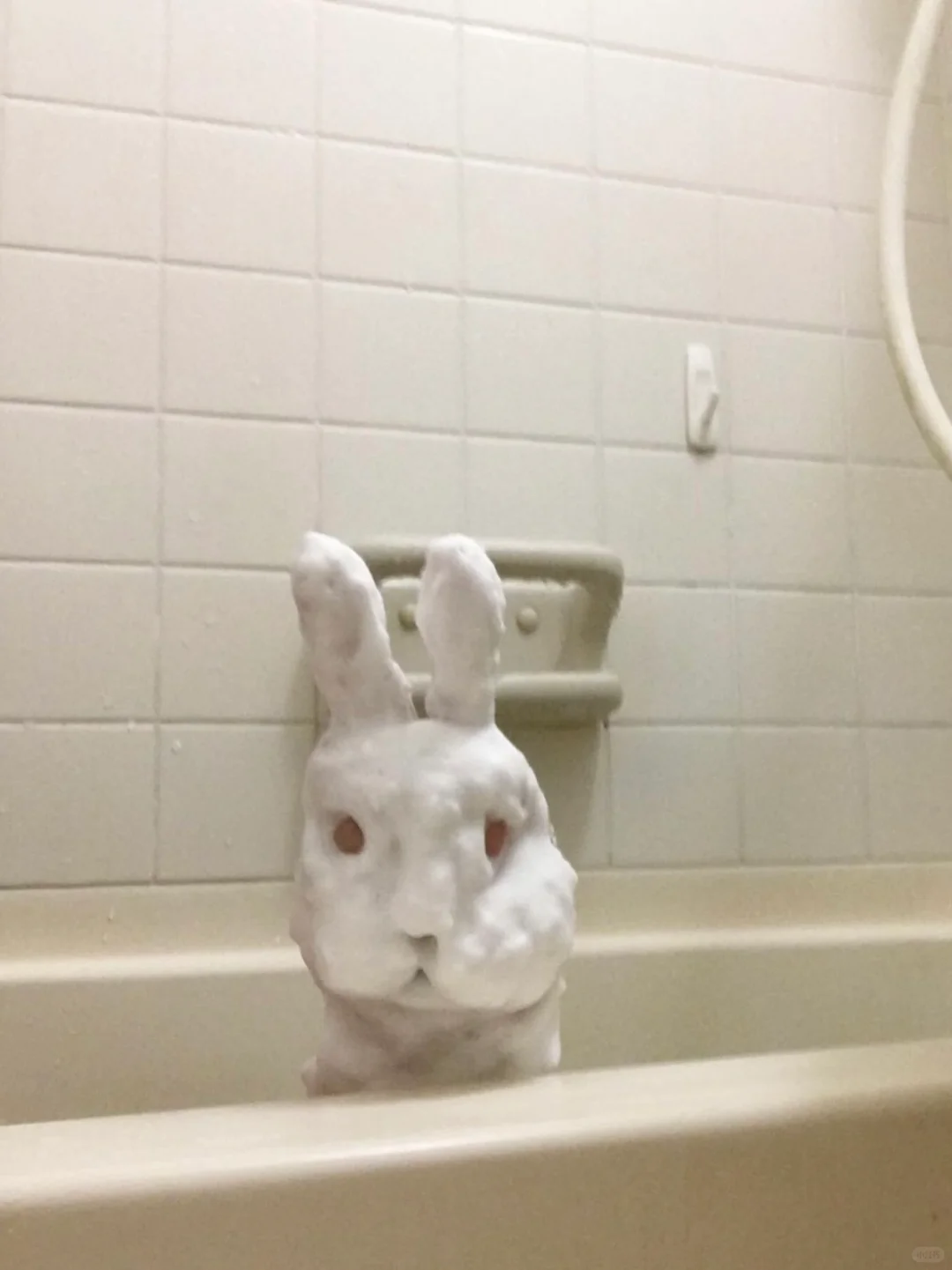 “这个艺术家简直在演我的精神状态”