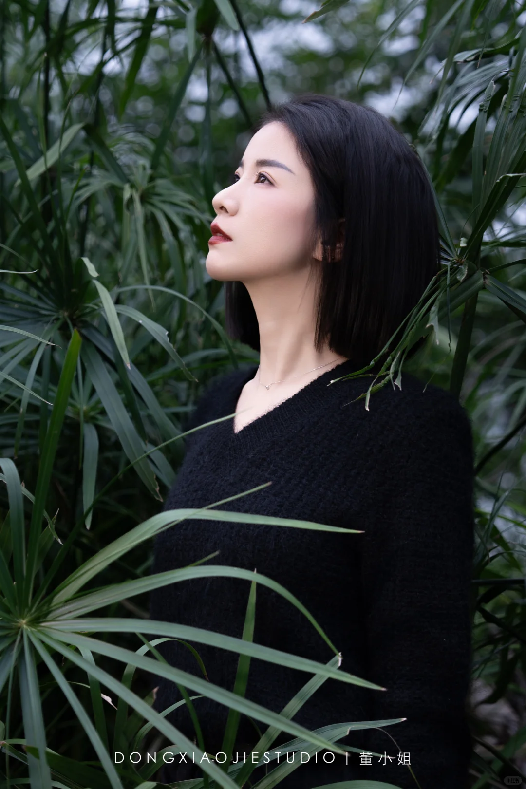 秋天的氛围感写真