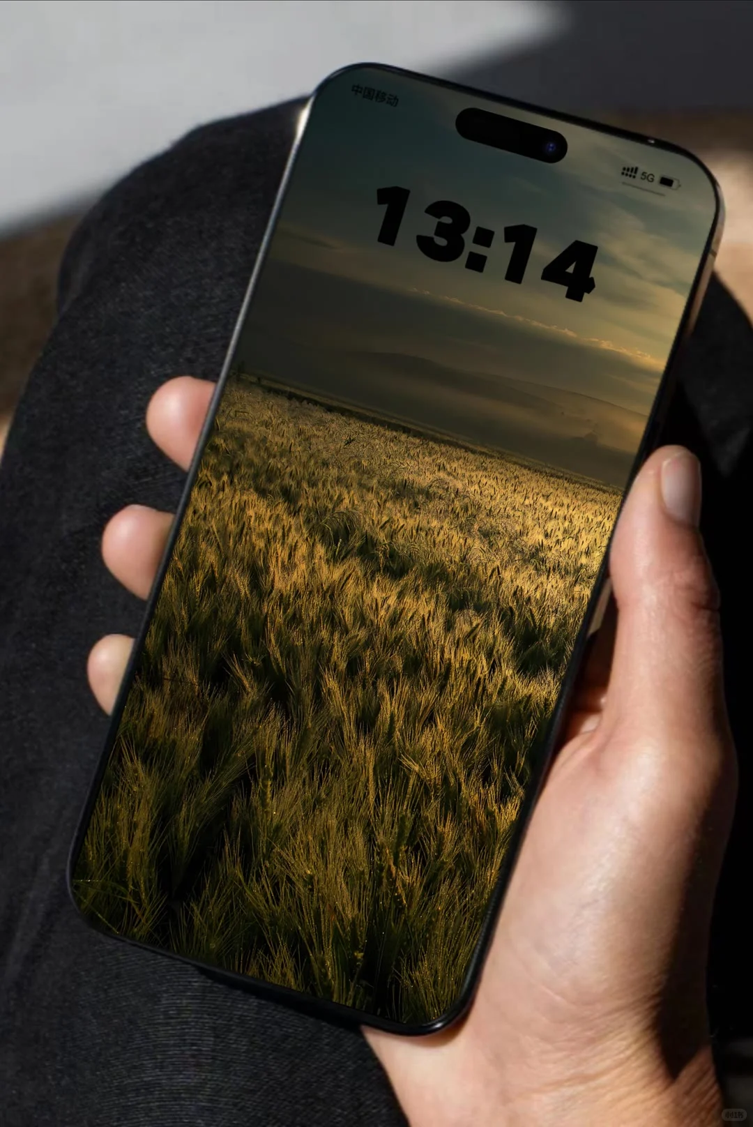 来了来了来了、精选壁纸、更新了