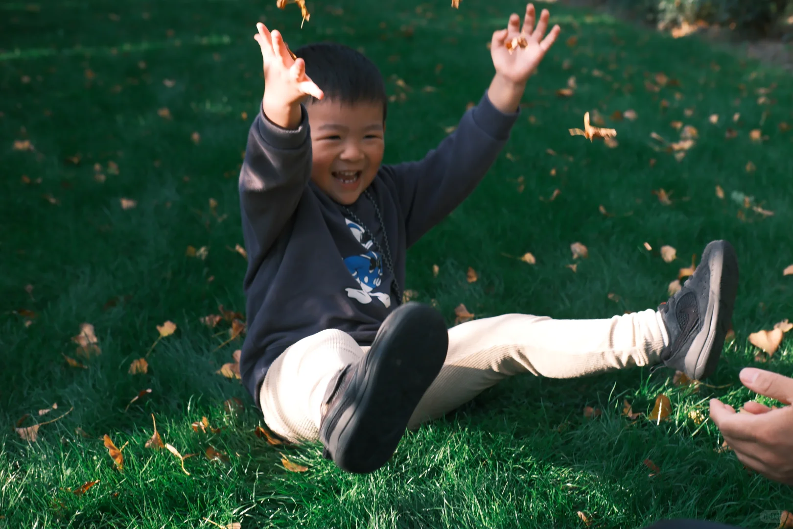 love in deep autumn爱在深秋🍁