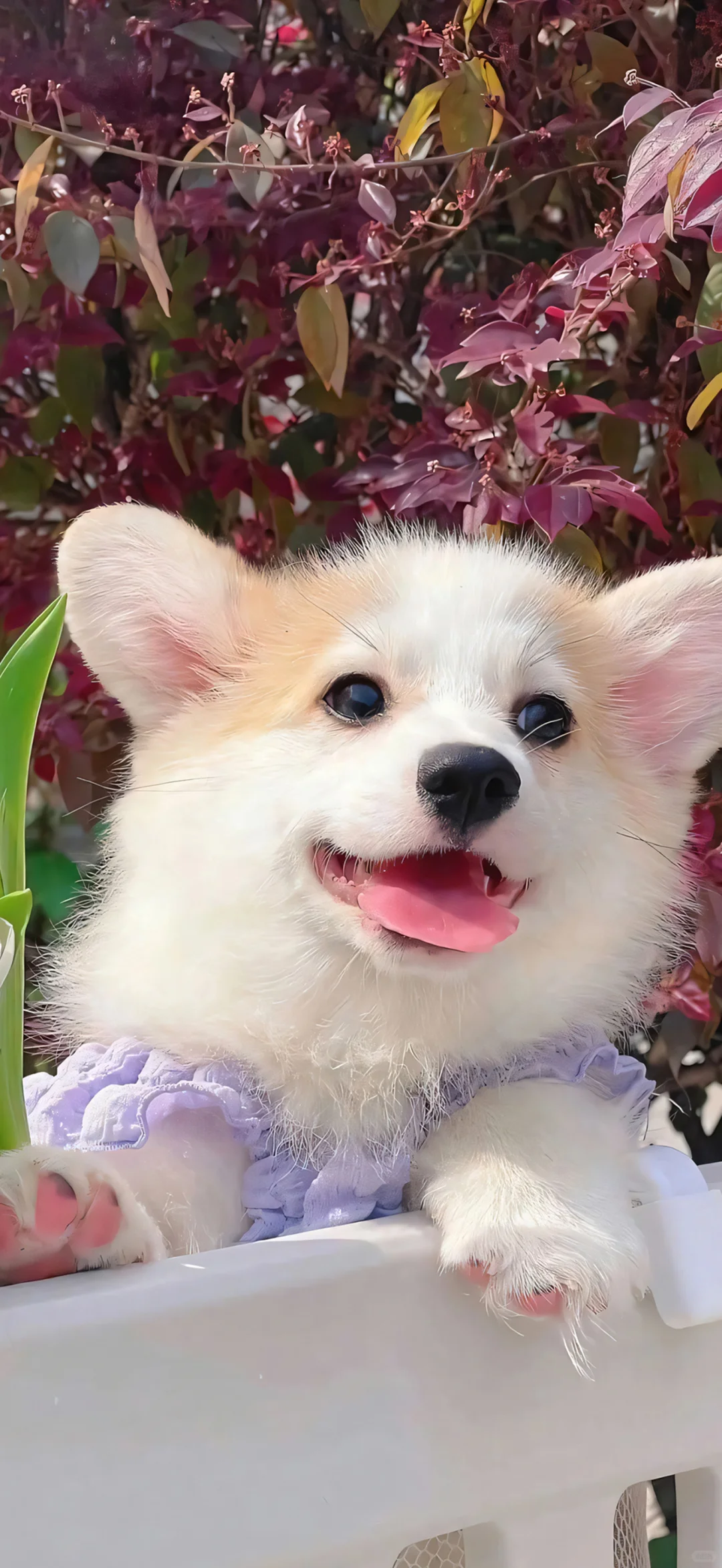 期待美好事情发生