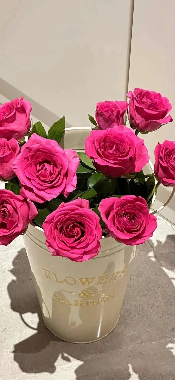 wallpaper | 全屏鲜花壁纸