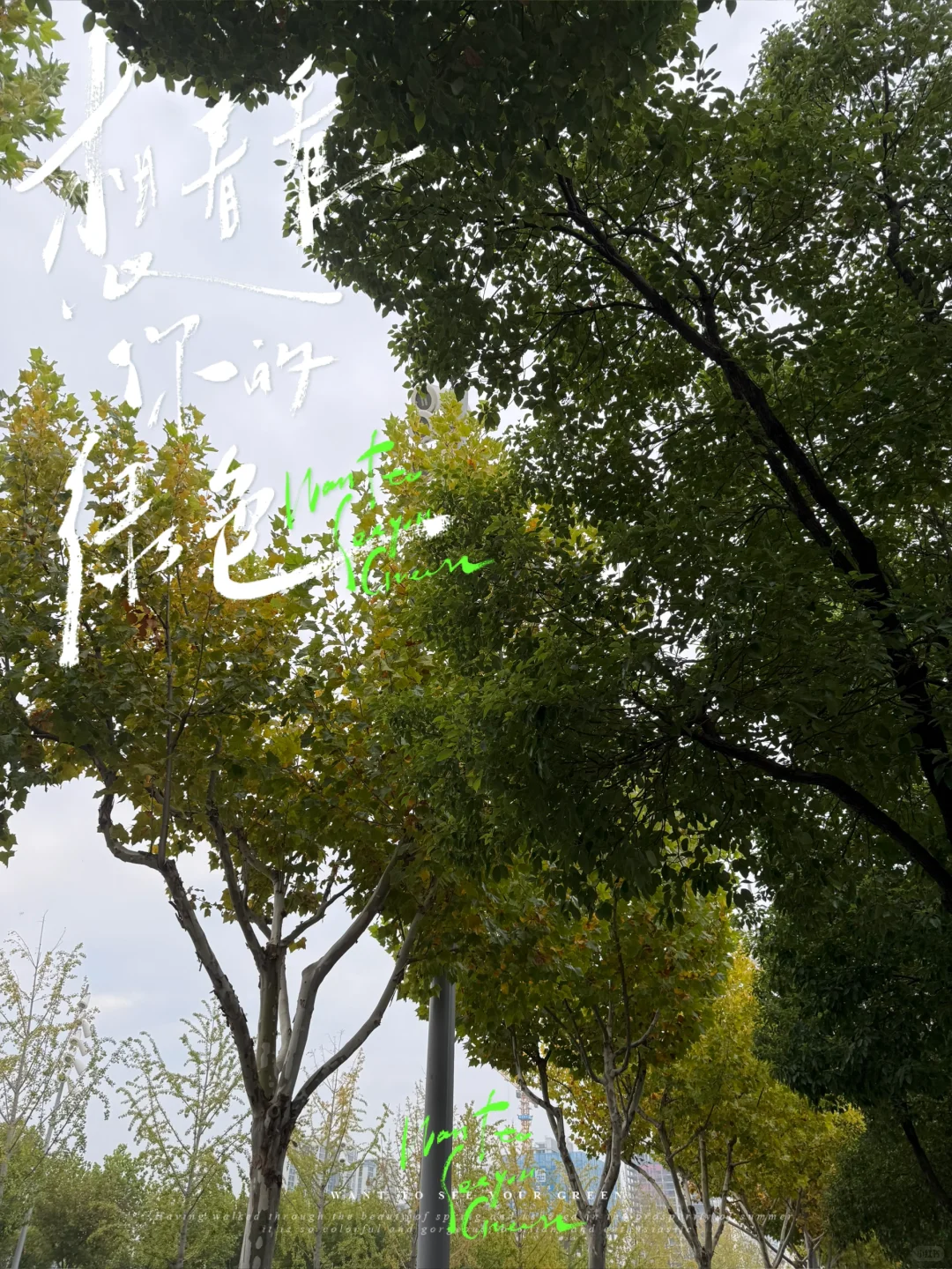 🎞️瘦了，更清冷美人感了～