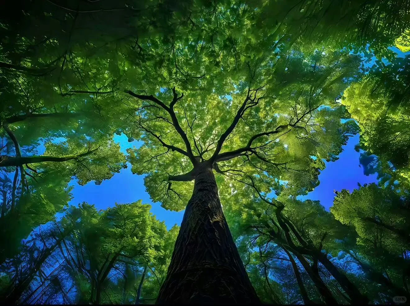 iOS26平板党狂喜！3D景深裸眼壁纸太绝了✨