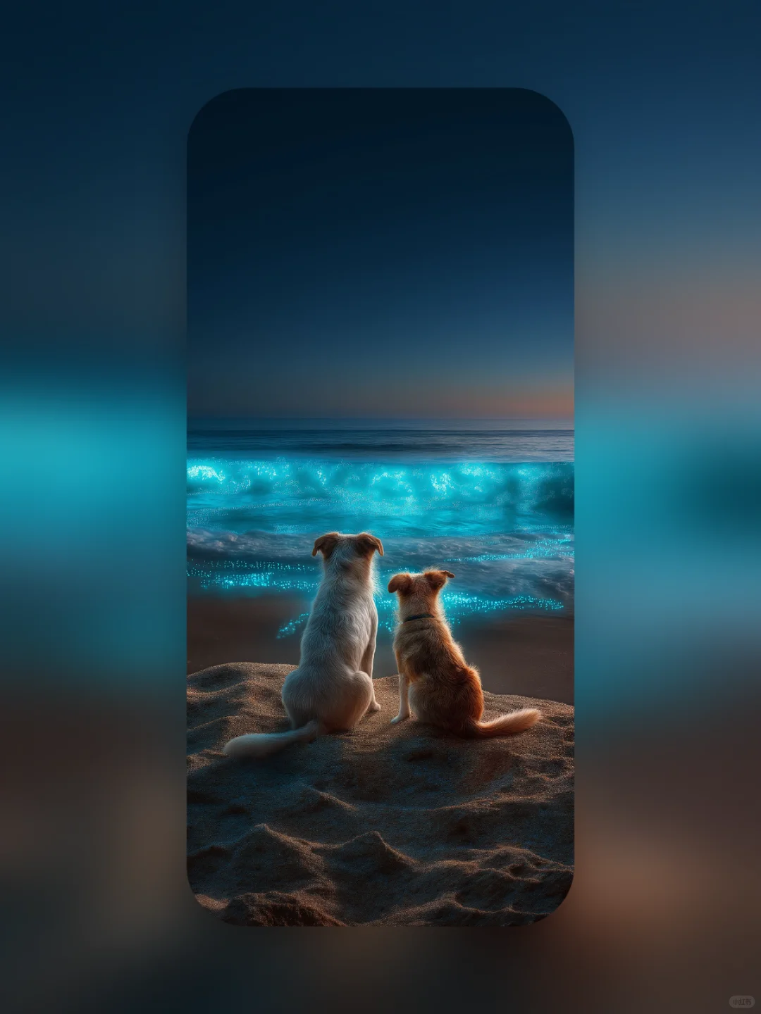 手机壁纸｜狗狗、