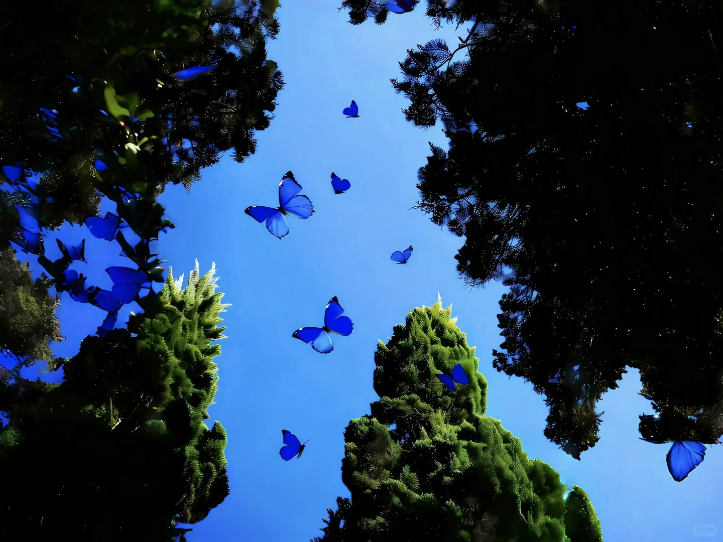 好好看的 🟡 iPad壁纸