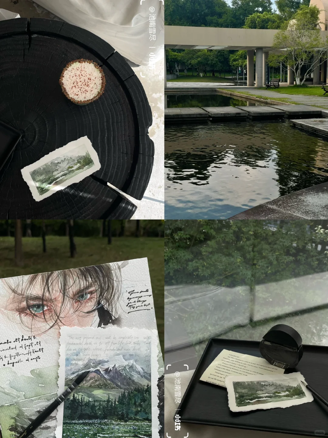 𝚂𝚌𝚘𝚝𝚝𝚒𝚜𝚑 𝙵𝚘𝚛𝚎𝚜𝚝⛰️拂晓森林