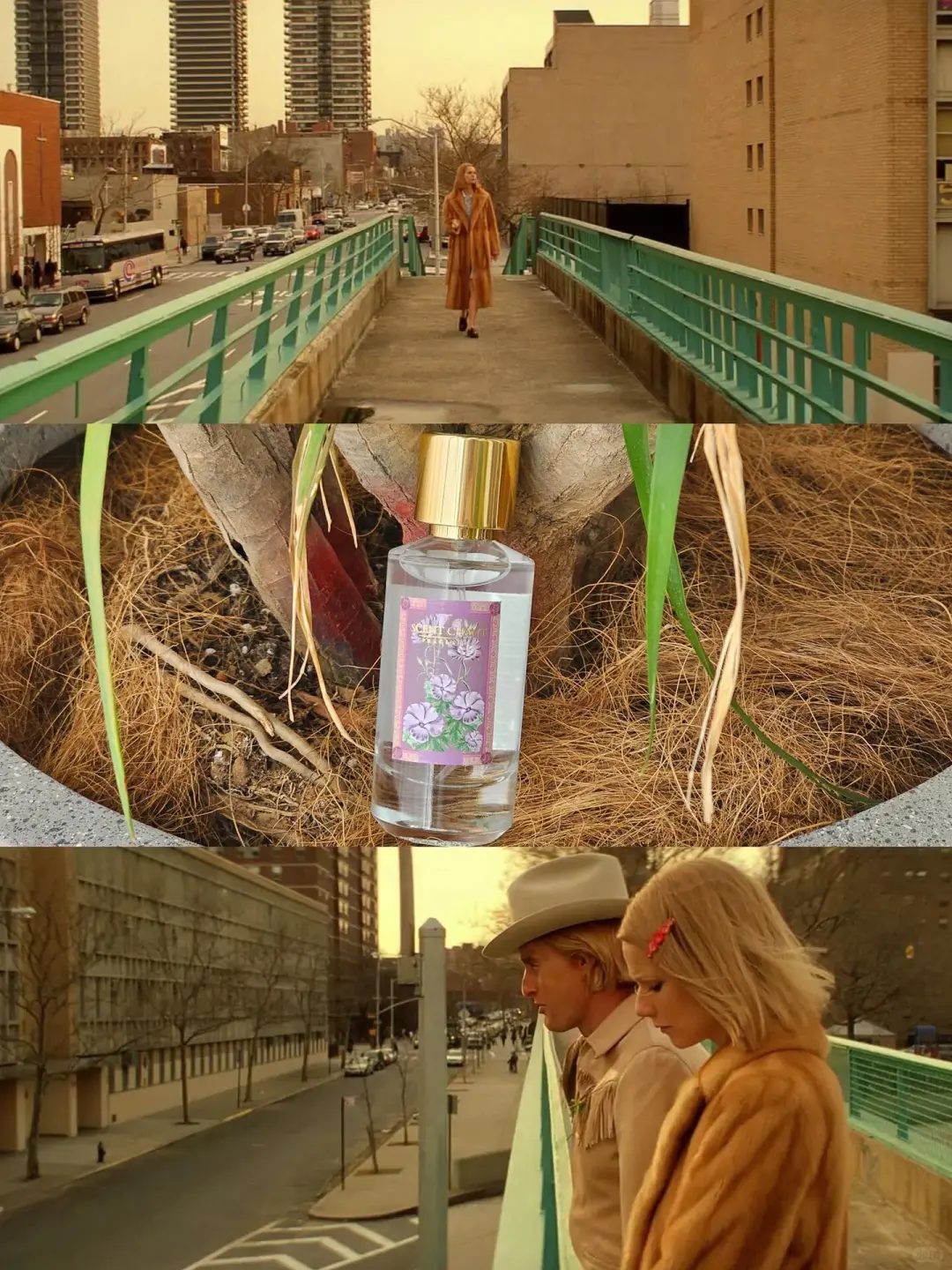 为什么没早点发现这部电影！！！🤣