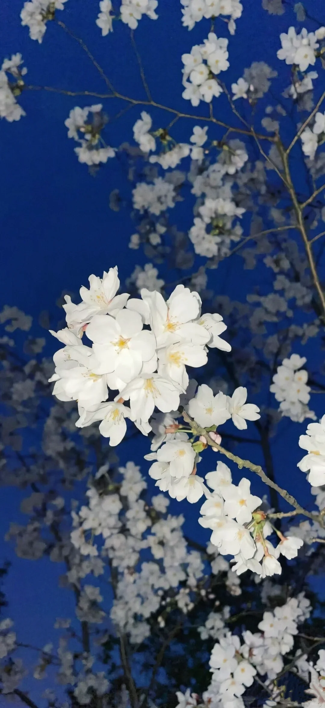 分享壁纸｜iOS26 3D 空间壁纸