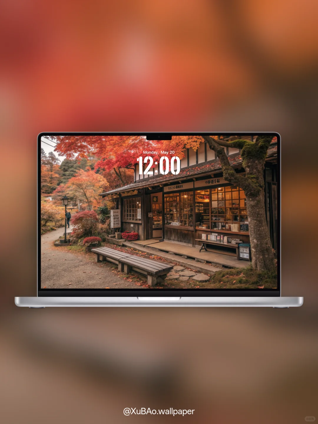 A2531 | 4k壁纸 | 秋舍枫华