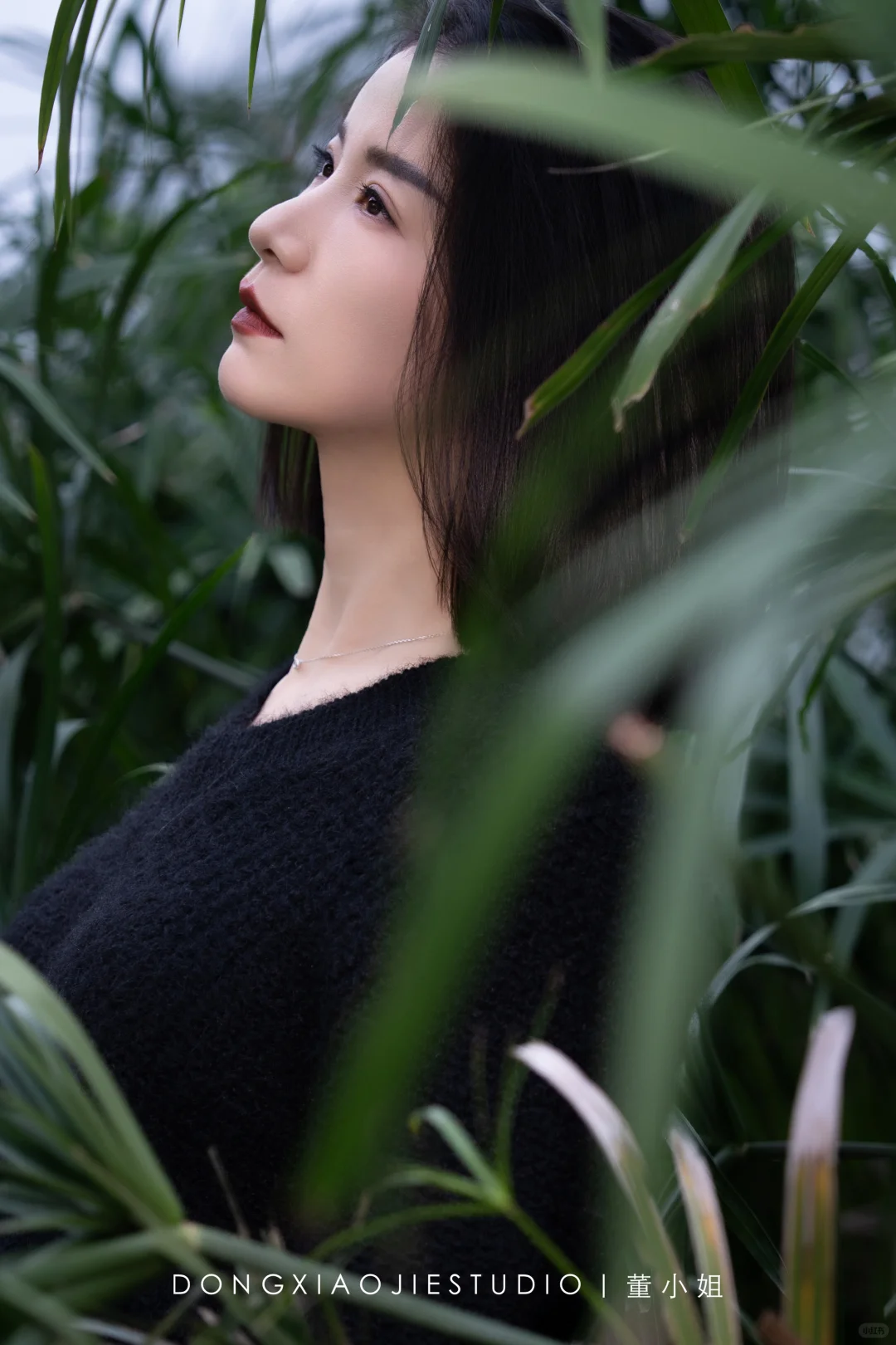 秋天的氛围感写真