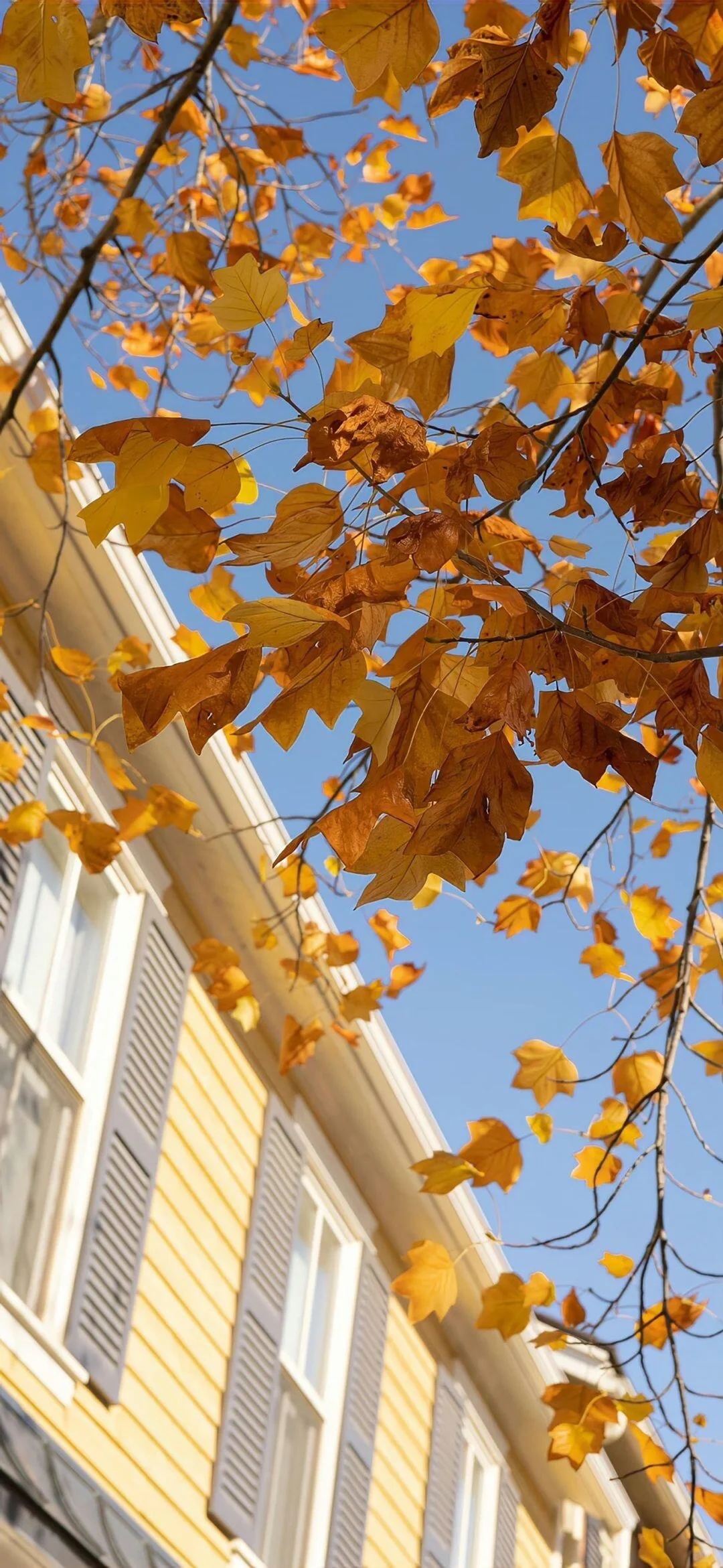 分享壁纸｜iOS26 3D 空间壁纸