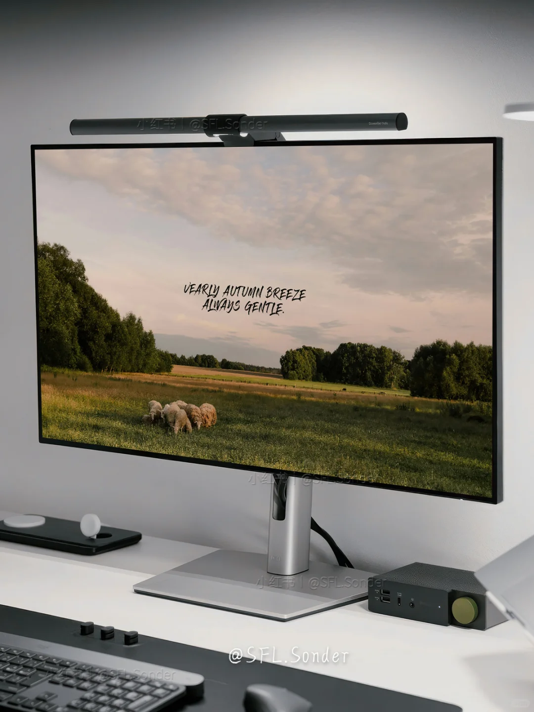 “秋日小羊·秋天风总是微凉.”#电脑壁纸